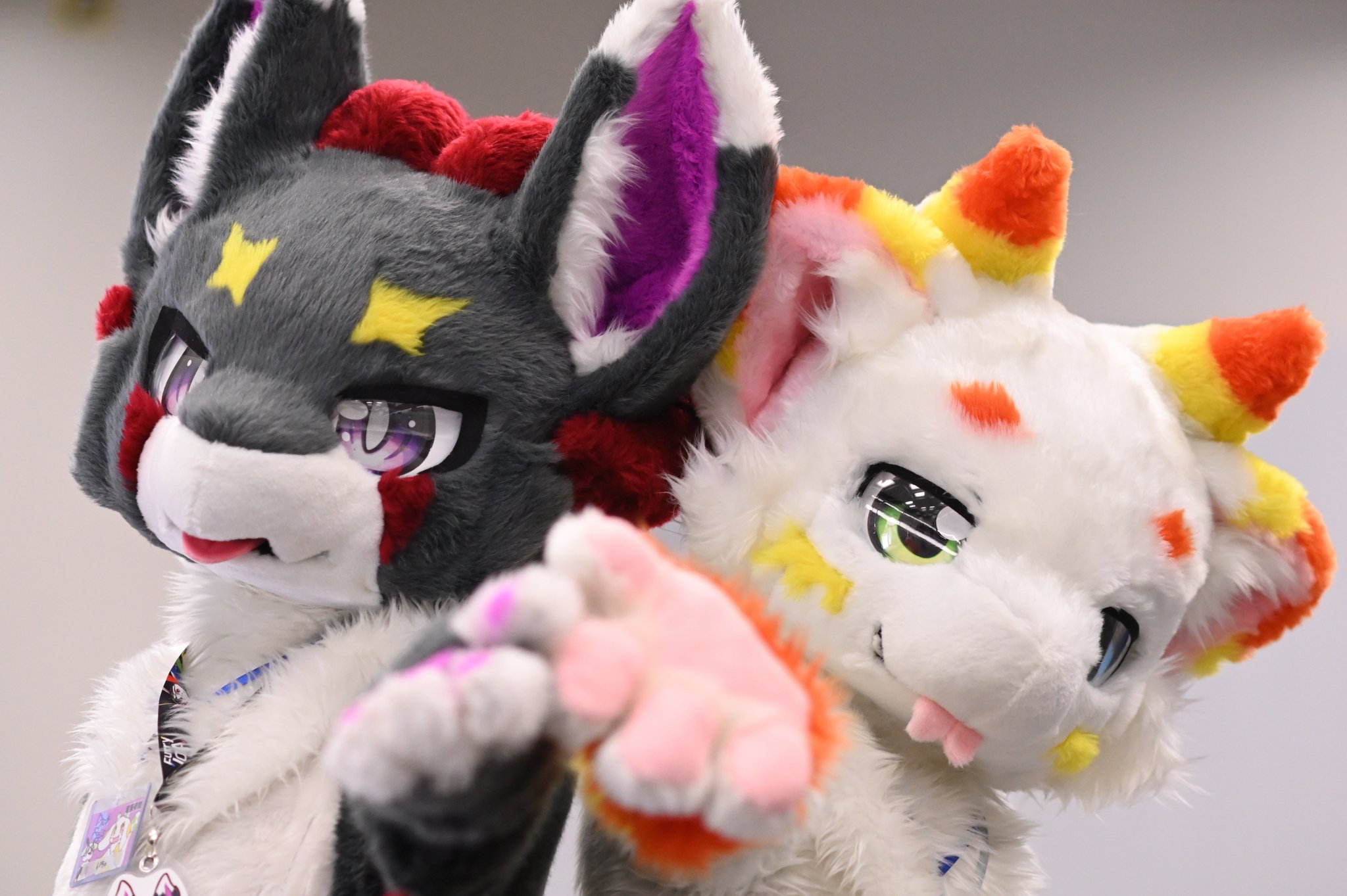 展示例：会場ギャラリー